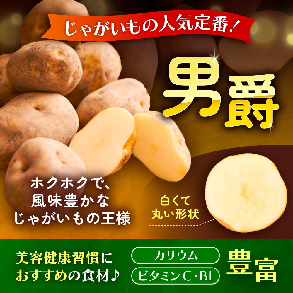 【ふるさと納税】【先行予約】北海道産 じゃがいも 男爵 10kg LM混合 足寄町/党崎農場 [BEAA006] - 画像2