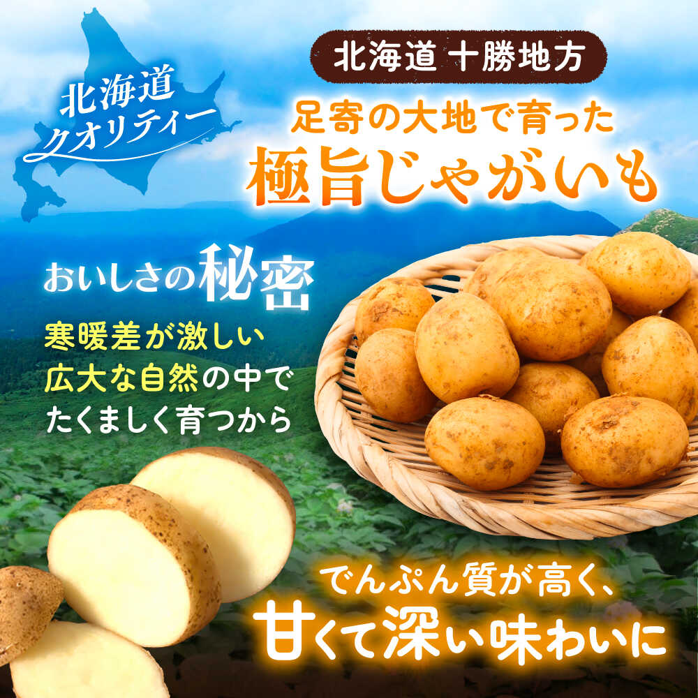 【ふるさと納税】【先行予約】北海道産 じゃがいも 男爵 10kg LM混合 足寄町/党崎農場 [BEAA006] - 画像3