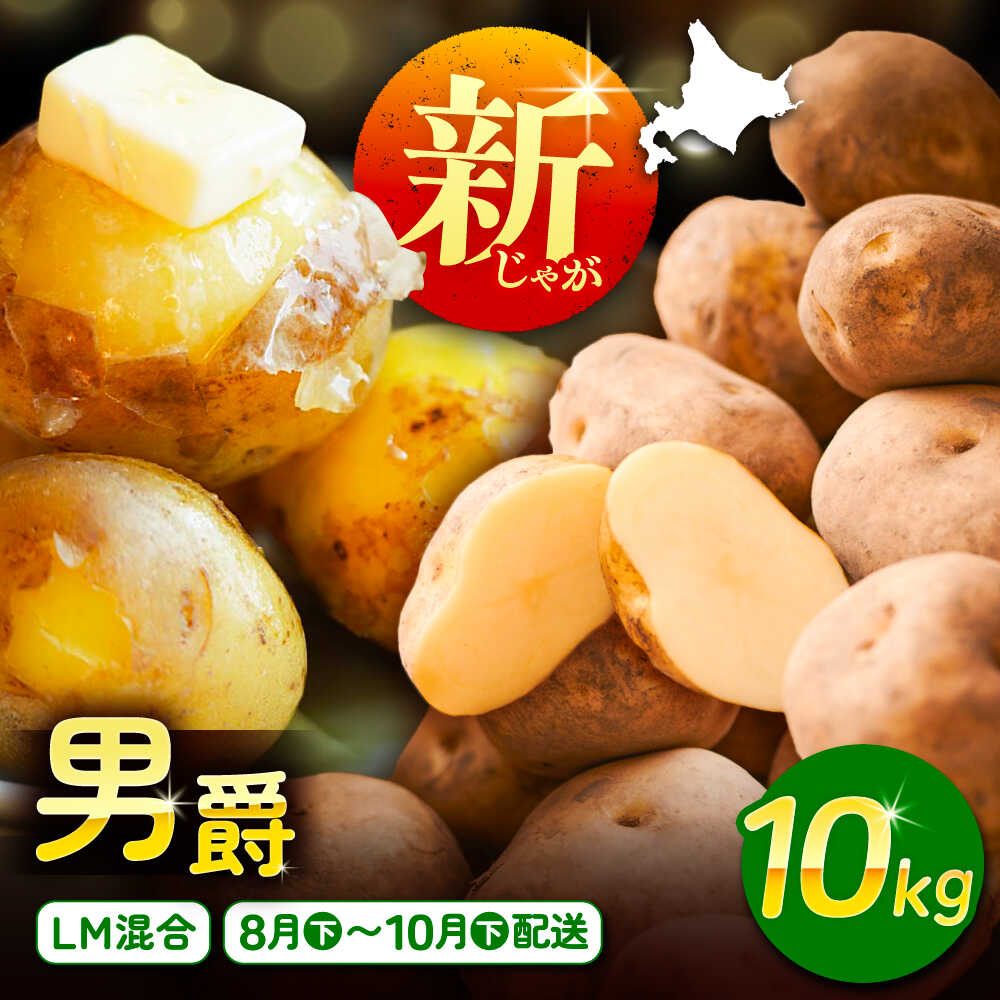 【先行予約】北海道産 じゃがいも 男爵 10kg LM混合 足寄町/党崎農場 [BEAA006]