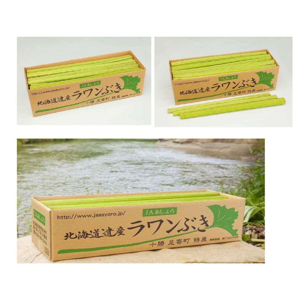 【先行予約】北海道足寄町産 生ラワンぶき 5kg　【6月上旬以降発送】足寄町/足寄町農業協同組合 [BEAB012]