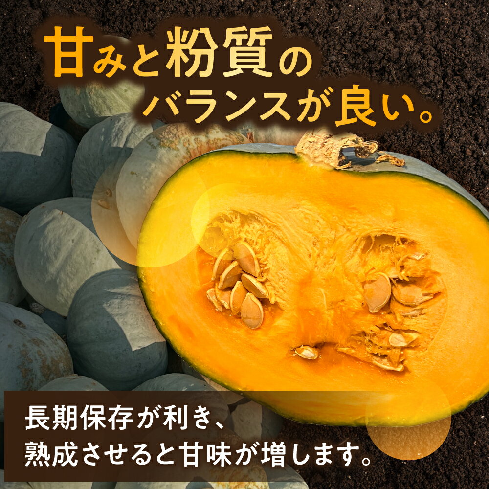 【ふるさと納税】【先行予約】北海道 かぼちゃ とっておき 2個 【9月中旬以降発送】足寄町/足寄アグリバイオ株式会社 カボチャ 南瓜 北海道産 道産 国産 食べ比べ セット 旬 新鮮 産地直送 産直 あしょろ ハロウィン グラタン スープ 新鮮 常温 常温配送 [BEAC010] - 画像3