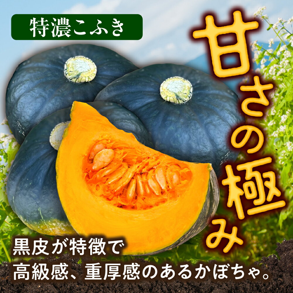 【ふるさと納税】【先行予約】北海道 かぼちゃ 特濃こふき 2個 【9月中旬以降発送】足寄町/足寄アグリバイオ株式会社 カボチャ 南瓜 北海道産 道産 国産 食べ比べ セット 旬 新鮮 産地直送 産直 あしょろ ハロウィン グラタン スープ 新鮮 常温 常温配送 [BEAC011] - 画像2