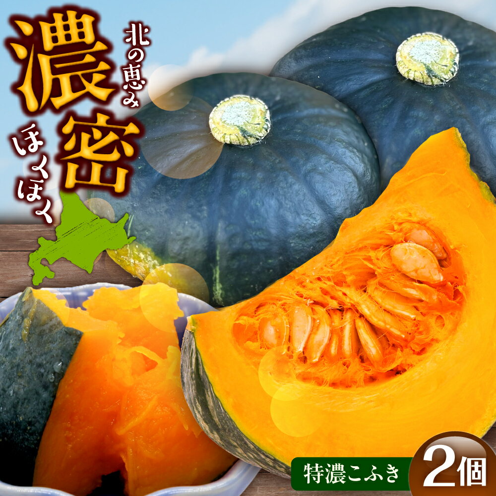 【先行予約】北海道 かぼちゃ 特濃こふき 2個 【9月中旬以降発送】足寄町/足寄アグリバイオ株式会社 カボチャ 南瓜 北海道産 道産 国産 食べ比べ セット 旬 新鮮 産地直送 産直 あしょろ ハロウィン グラタン スープ 新鮮 常温 常温配送 [BEAC011]