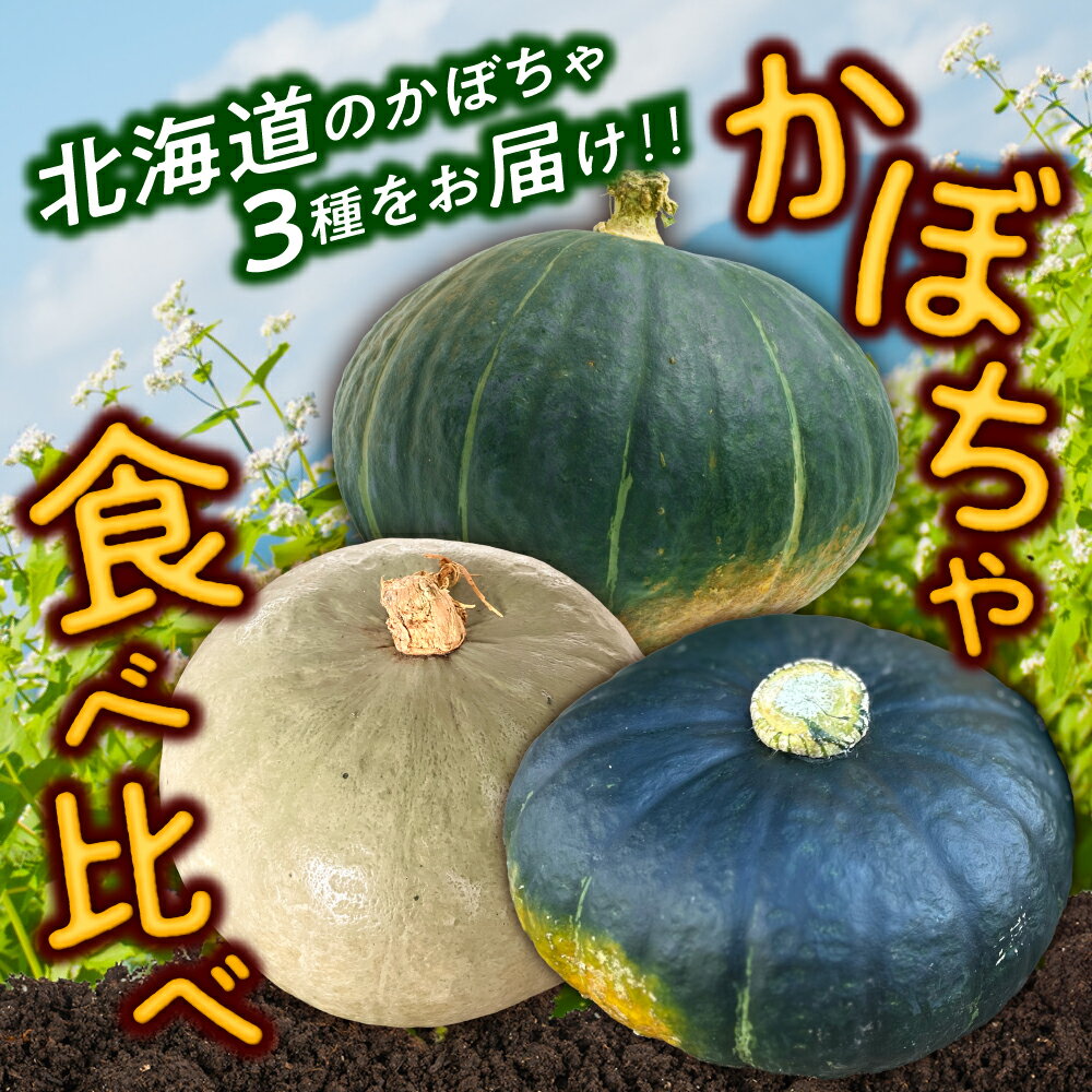 【ふるさと納税】【先行予約】北海道 かぼちゃ ダークホース ・ とっておき ・ 特濃こふき 3種類 × 2個 【9月中旬以降発送】足寄町/足寄アグリバイオ株式会社 カボチャ 南瓜 北海道産 道産 国産 食べ比べ セット 旬 新鮮 産地直送 産直 あしょろ グラタン スープ [BEAC013] - 画像2