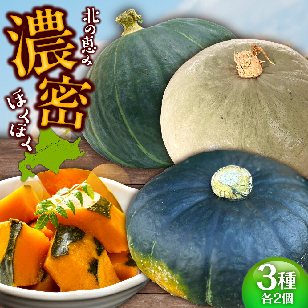 【先行予約】北海道 かぼちゃ ダークホース ・ とっておき ・ 特濃こふき 3種類 × 2個 【9月中旬以降発送】足寄町/足寄アグリバイオ株式会社 カボチャ 南瓜 北海道産 道産 国産 食べ比べ セット 旬 新鮮 産地直送 産直 あしょろ グラタン スープ [BEAC013]