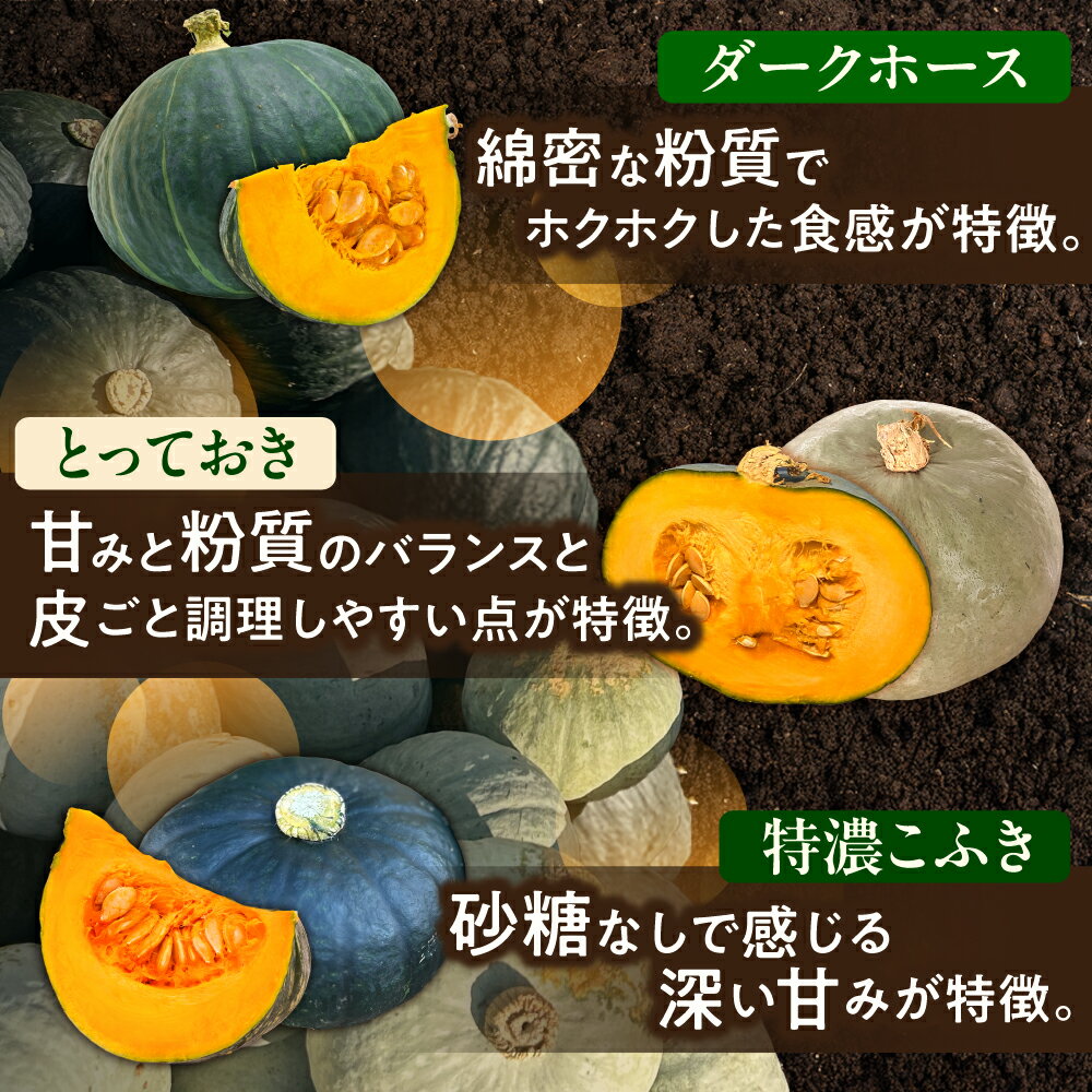 【ふるさと納税】【先行予約】【訳あり】 北海道 かぼちゃ 訳あり ダークホース ・ とっておき ・ 特濃こふき 3種類 × 2個 【9月中旬以降発送】足寄町/足寄アグリバイオ株式会社 [BEAC015] - 画像3