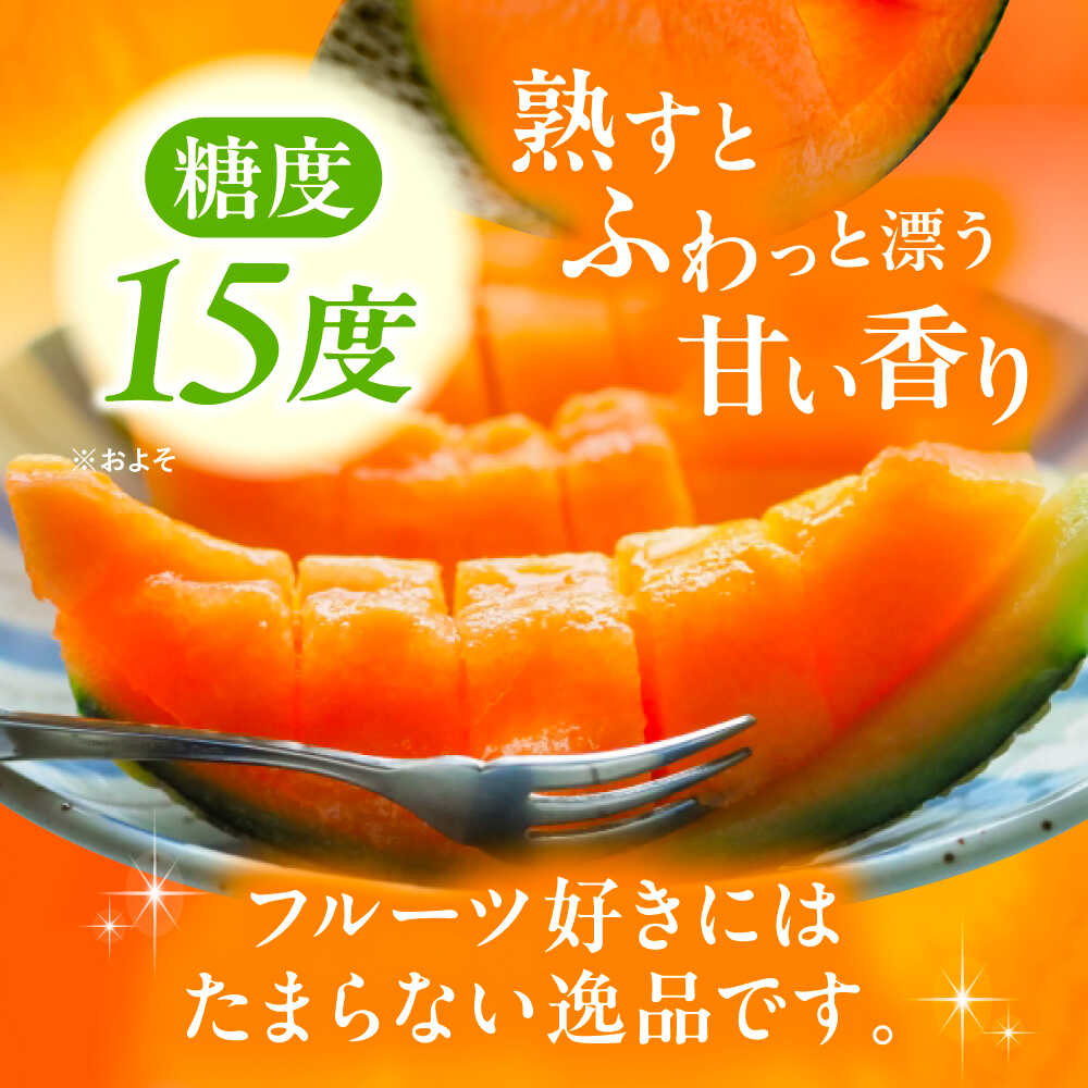 【ふるさと納税】【先行予約】北海道 赤肉 メロン ルピアレッド 1.5kg × 2玉 【7月下旬以降発送】足寄町/郊南ハウス組合 [BEAO001] サムネイル3