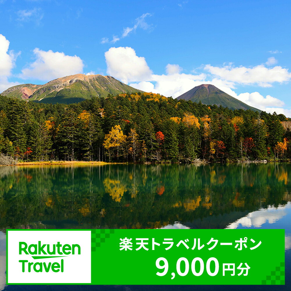 北海道足寄町の対象施設で使える 楽天トラベルクーポン 寄付額30000円(クーポン9000円) [BEBF002] 北海道 宿泊 宿泊券 ホテル 旅館 旅行 旅行券 観光 トラベル チケット 旅 宿 券