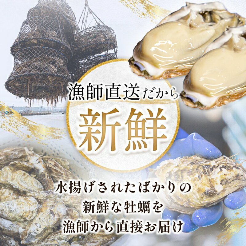 【ふるさと納税】【先行予約】北海道 仙鳳趾名産 牡蠣 + かきナイフ付き＜出荷期間：2026年7月1日〜9月末＞ ｜ 【大きさ と 数量が選べる】かき漁師直送 K1 センポウシ 釧路町の東 厚岸湾の西 発送 すぐ届く 釧路町 釧路超 特産品 br02 - 画像3
