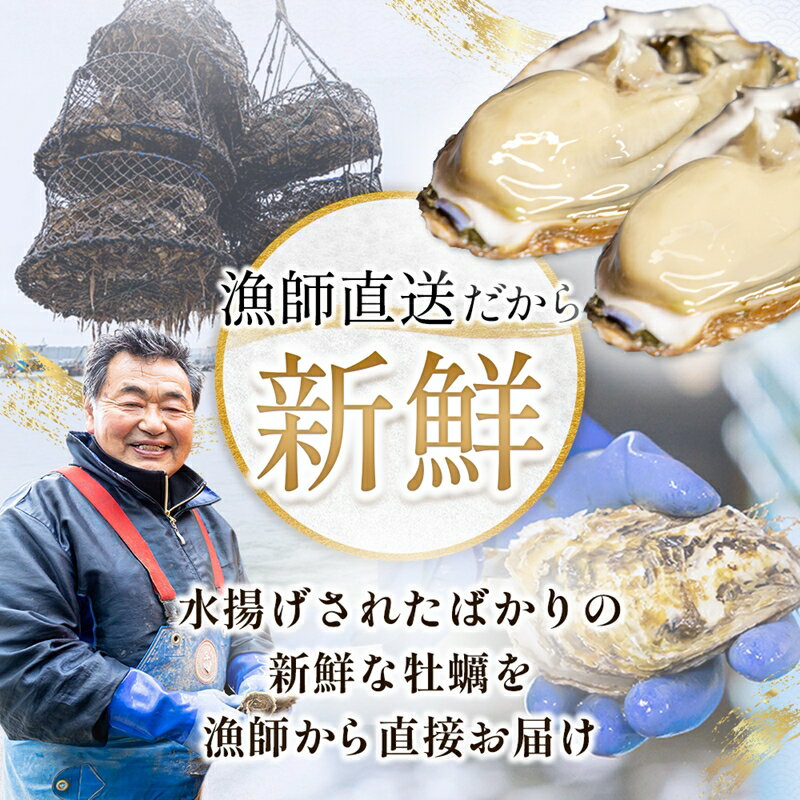 【ふるさと納税】＼先行予約／北海道 仙鳳趾名産 牡蠣 + かきナイフ付き 【サイズ と 個数が選べる】漁師直送 K4 ＜出荷期間：2026年7月1日〜11月末＞センポウシ とは 釧路町の東 厚岸湾の西 カキの名産地 北海道 釧路町 釧路超 特産品 br02 - 画像3