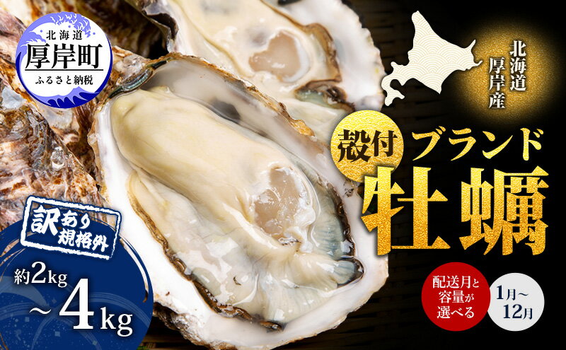 【ふるさと納税】お届け月が選べる 訳あり 牡蠣 北海道厚岸産 殻付カキ 約4kg (25から50個) カキナイフ付 生食 生牡蠣 貝付き牡蠣 貝 海鮮 魚介類 殻付き牡蠣 マルえもん　お届け：ご希望のお届け月をお選びください。※お届け月の変更はできません。 サムネイル2
