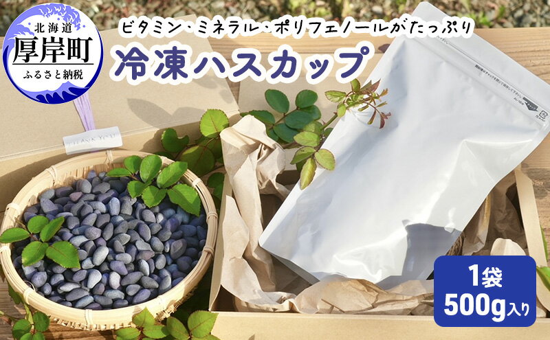 【ふるさと納税】厚岸ハスカ 冷凍ハスカップ 1袋（500g） アントシアニン スーパーフード 果実 ビタミン ミネラル 抗酸化作用 ポリフェノール 北海道産 - 画像2