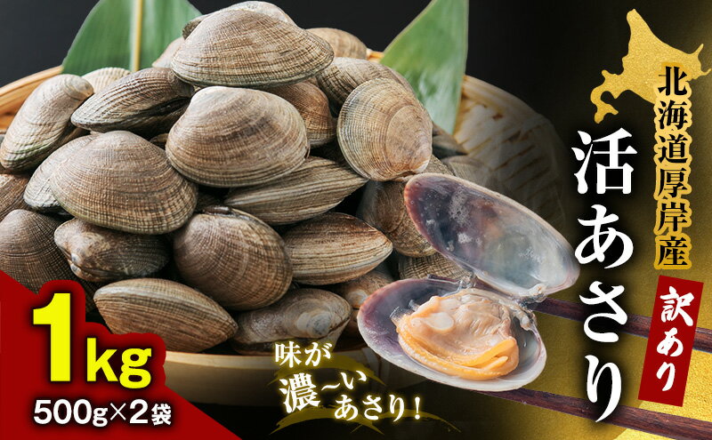 【ふるさと納税】北海道 厚岸産 訳あり 活あさり 500g×2 (合計1kg) アサリ 魚貝 海鮮 大粒 美味しい 栄養 旨み 砂出し 水洗い 冷蔵 冷凍保存可能 便利 　お届け：2025年9月～2026年7月15日まで サムネイル2
