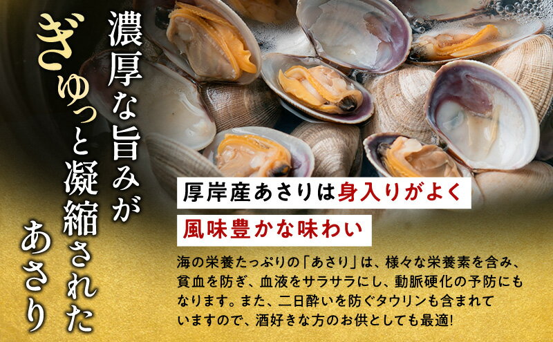 【ふるさと納税】北海道 厚岸産 訳あり 活あさり 500g×2 (合計1kg) アサリ 魚貝 海鮮 大粒 美味しい 栄養 旨み 砂出し 水洗い 冷蔵 冷凍保存可能 便利 　お届け：2025年9月～2026年7月15日まで サムネイル3