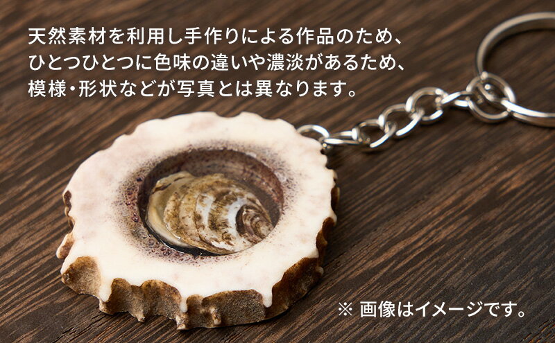 【ふるさと納税】鹿角と牡蠣のキーホルダー 1個 [ 鹿 鹿角 キーホルダー 牡蠣殻 牡蠣 雑貨 小物 お土産 プレゼント ギフト ハンドメイド 自然素材 北海道 厚岸町 ] サムネイル3