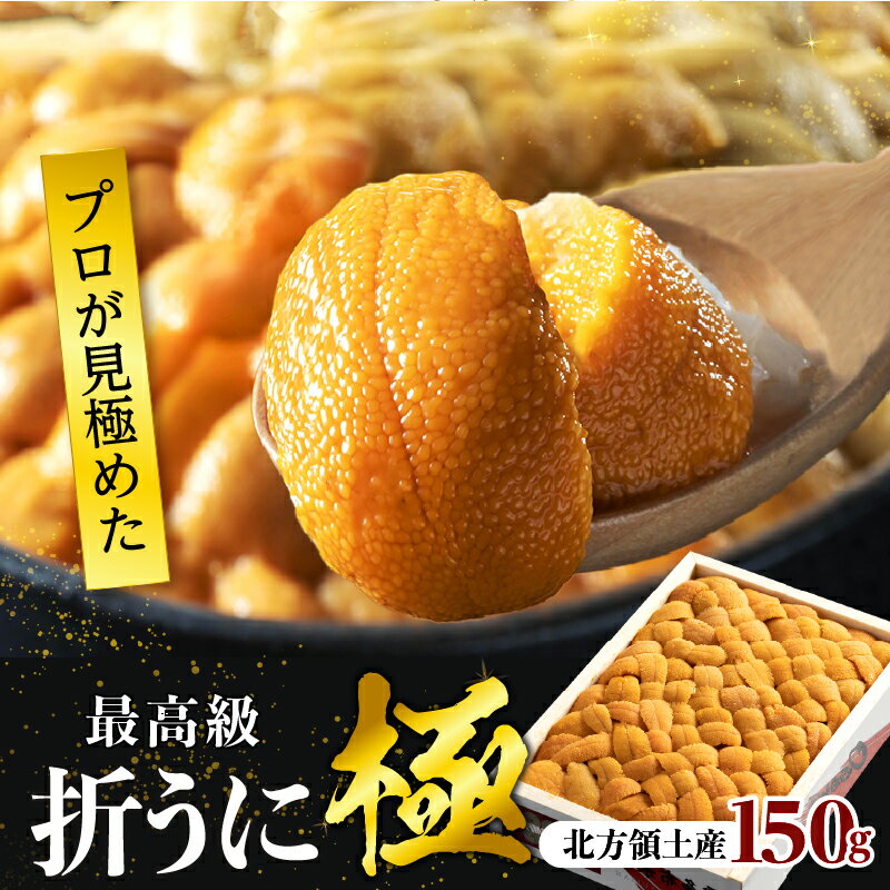 うに プロ厳選 箱詰め 折うに 生うに 刺身 最高級 天然 バフンウニ 150g 新鮮 食品 うに丼 海鮮 海産物 魚介 グルメ 人気 おすすめ プレゼント おつまみ 寿司 パスタ 軍艦 トッピング ギフト 贅沢 北海道 浜中町 送料無料