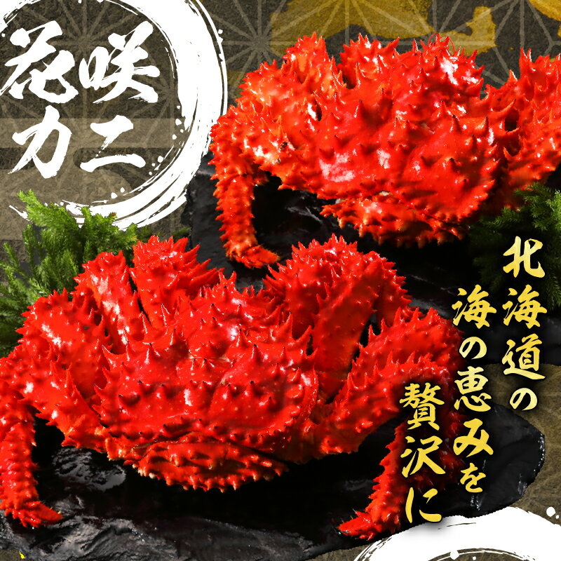 【ふるさと納税】【レビューキャンペーン対象】炊き込みご飯 素 花咲かに こんぶ 3合炊き 2個 セット 具だくさん 海の恵み 1等昆布 手軽 調理 時短 炊き込むだけ グルメ お土産 手土産 差し入れ 海産物 北海道 浜中町 お取り寄せ 送料無料 サムネイル2