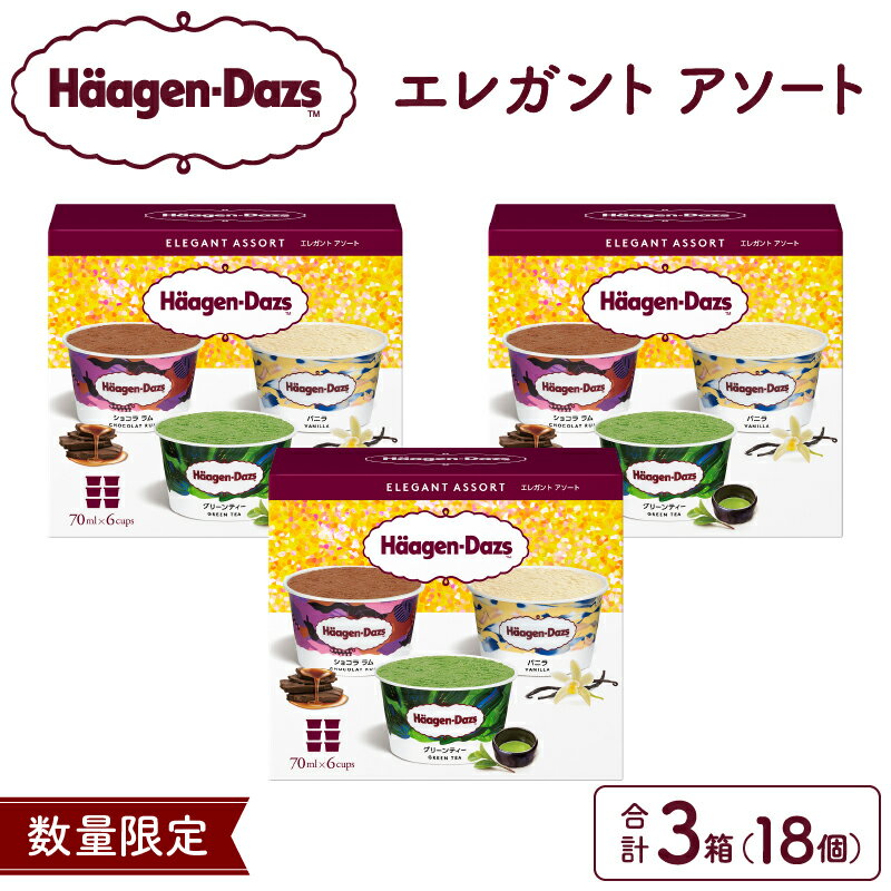 【数量限定】 ハーゲンダッツ エレガント アソート 3箱 セット ボックス アイス アイスクリーム バニラ ミニカップ カップアイス 詰め合わせ スイーツ 人気 有名店 デザート 高級 お菓子 おやつ おすすめ 北海道 浜中町 送料無料