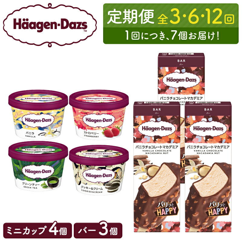 配送回数が選べる 定期便 ハーゲンダッツ ミニカップ & バー セット アイス スイーツ デザート おやつ アイスクリーム カップアイス バニラ ストロベリー チョコレート 高級 人気 おすすめ 牛乳 浜中町産 北海道 送料無料