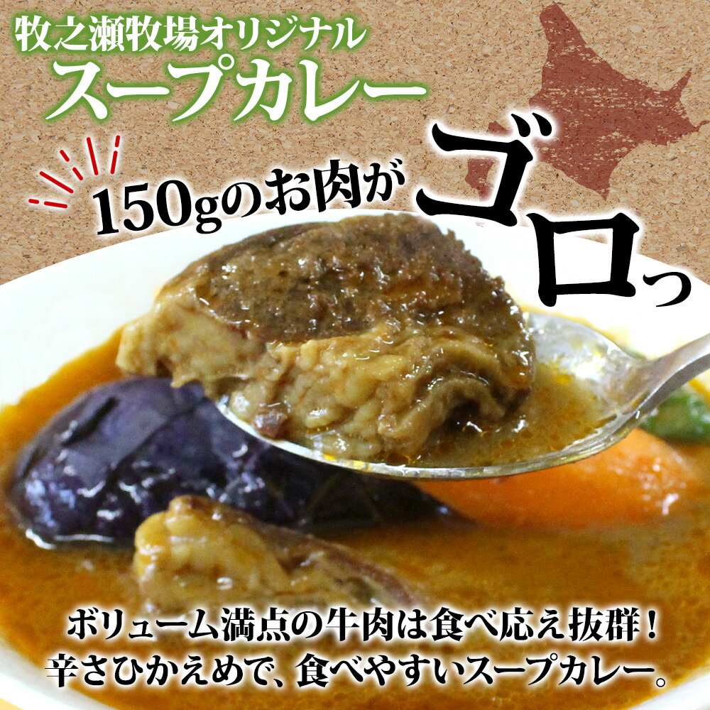 【ふるさと納税】 3024. ビーフ スープカレー 300g 15箱 カレー ビーフカレー スープ 牛 牛肉 放牧牛 牧場 レトルトカレー レトルト食品 レトルト 備蓄 常備 非常用 即席 湯煎 レンジ おかず ギフト プレゼント 牧之瀬牧場 お取り寄せ 送料無料 北海道 弟子屈町 - 画像2