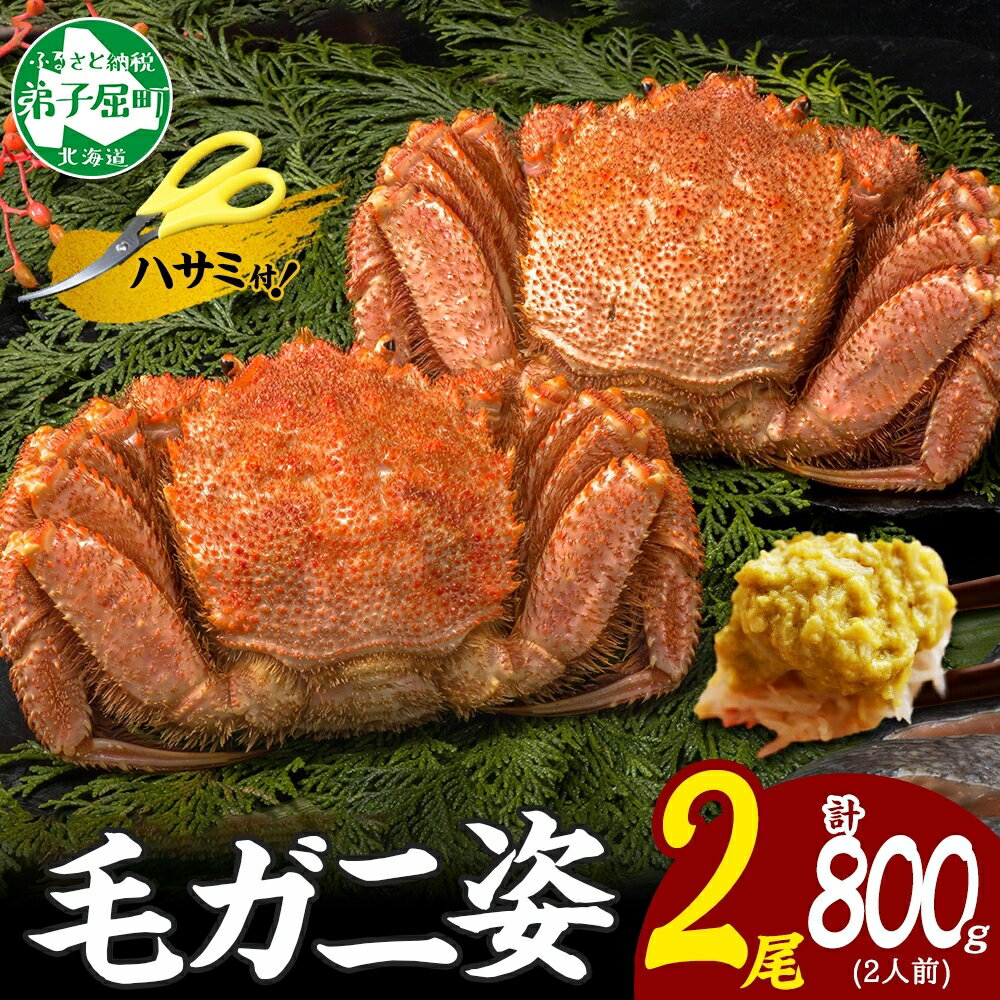 【ふるさと納税】3357. カニ 蟹 毛蟹 2尾 計800g前後 食べ方ガイド・専用ハサミ付 カニ かに 蟹 海鮮 ボイル キャンプ飯 バーベキュー BBQ 送料無料 北海道 弟子屈町