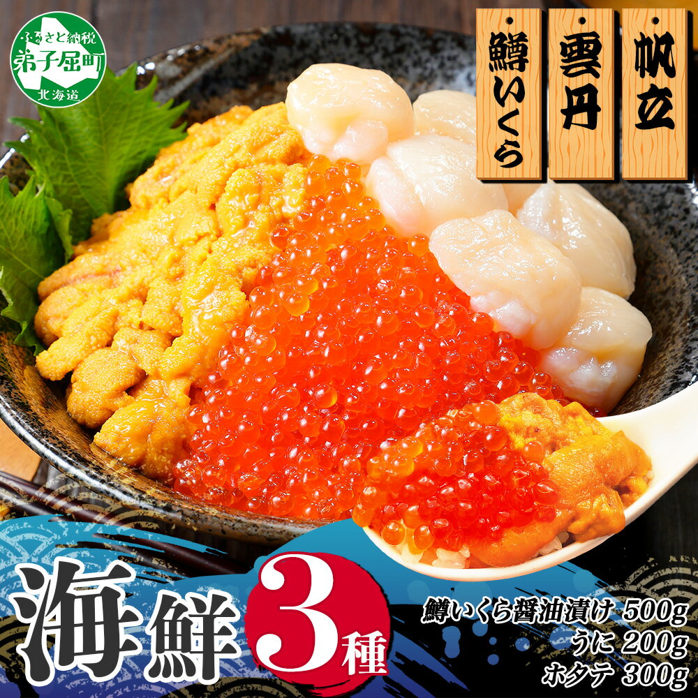 【ふるさと納税】3610. 3種 海鮮丼 鱒 いくら醤油漬け 100g×5 5-6人前 ウニ チリ産 冷凍 雲丹 うに 200g ホタテ 300g 帆立 ます いくら いくら醤油 マスイクラ ますいくら イクラ 魚卵 マス 海鮮 送料無料 北海道 弟子屈町
