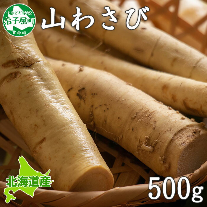 3166.天然 山わさび 500g前後 山葵 ワサビ わさび 産地直送 薬味 肉 BBQ バーベキュー 焼き肉 送料無料 北海道 弟子屈町