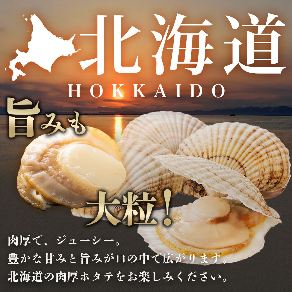 【ふるさと納税】 3368. ボイル ほたて 1kg ホタテ 2Lサイズ 北海道産 大粒 帆立 魚介 海鮮 貝 ひも付き バター焼き 炊き込みご飯 シチュー グルメ ギフト お歳暮 お中元 正月 送料無料 北海道 弟子屈町 - 画像3