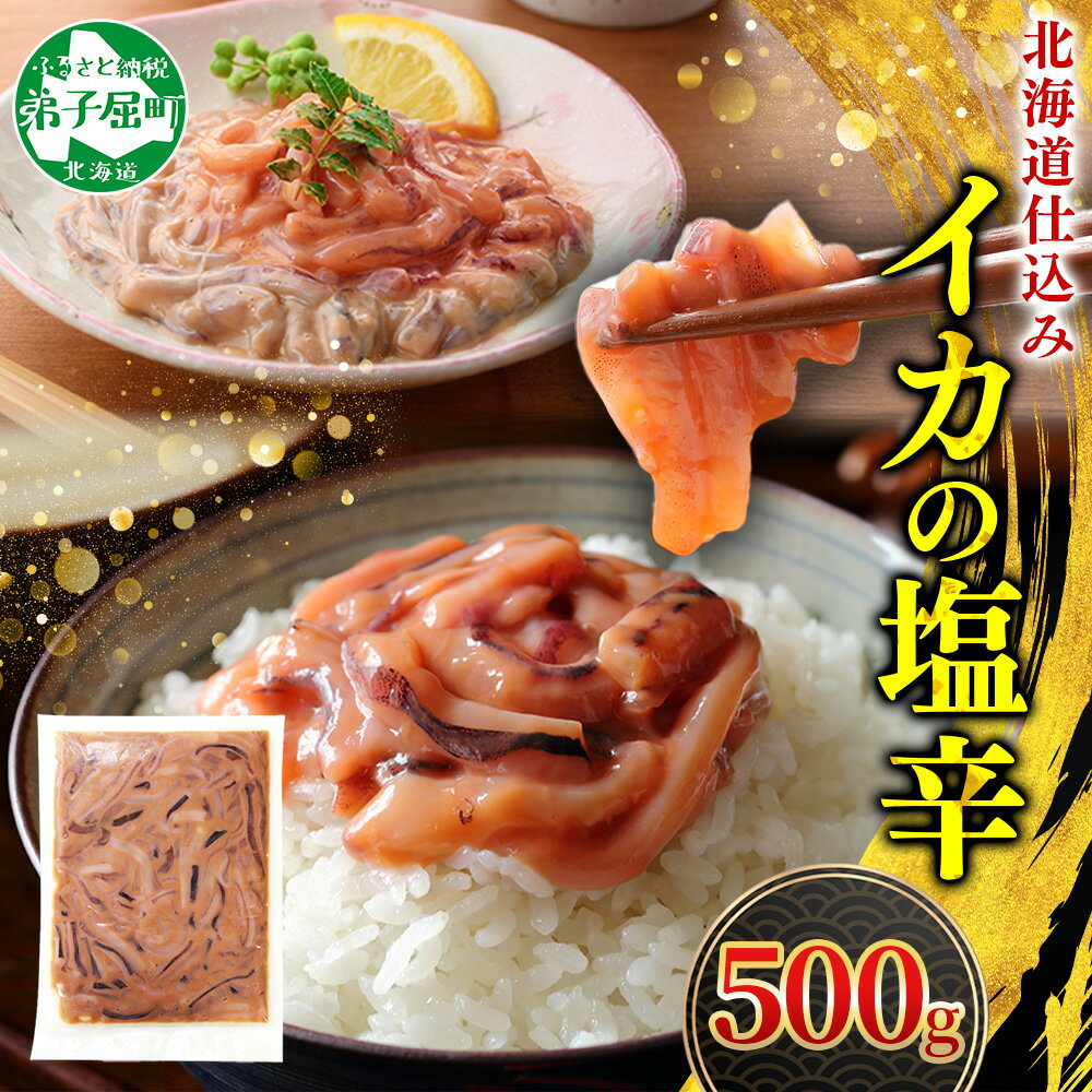 【ふるさと納税】 3163.イカの塩辛 500g イカ 塩辛 スルメイカ いか 烏賊 珍味 海鮮 魚介 ご飯のお供 送料無料 北海道 弟子屈町