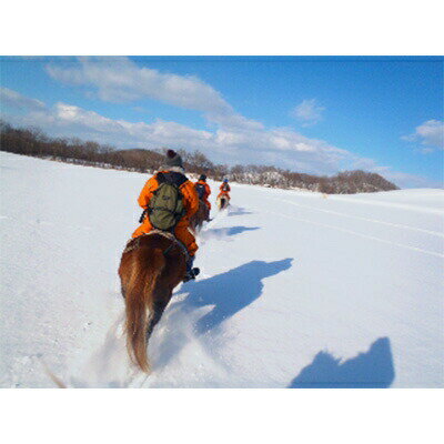 【ふるさと納税】 北海道 鶴居村 どさんこ牧場 ホーストレッキング 半日コース 1名様 観光 トラベル ホテル 旅行 宿泊 アクティビティ サムネイル3