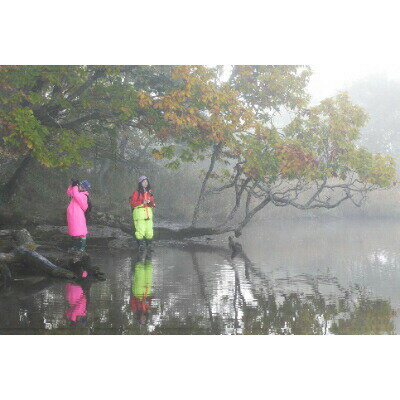 【ふるさと納税】 北海道 鶴居村 モール 温泉 HOTEL TAITO 宿泊券 「1泊2食付 釧路湿原 国立公園 秘境 ガイドプラン(2名様)」 観光 トラベル ホテル 旅館 旅行 宿泊 アクティビティ 記念日 誕生日 サムネイル3