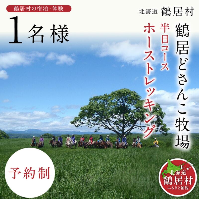 北海道 鶴居村 どさんこ牧場 ホーストレッキング 半日コース 1名様 観光 トラベル ホテル 旅行 宿泊 アクティビティ