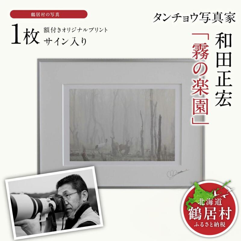 【ふるさと納税】タンチョウ 写真家 和田正宏 額付き オリジナルプリント「 霧の楽園 」 (サイン入り)