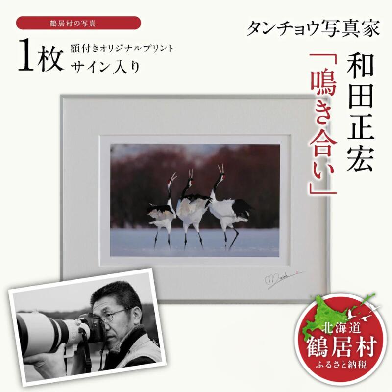 【ふるさと納税】タンチョウ 写真家 和田正宏 額付き オリジナルプリント「 鳴き合い 」(サイン入り)