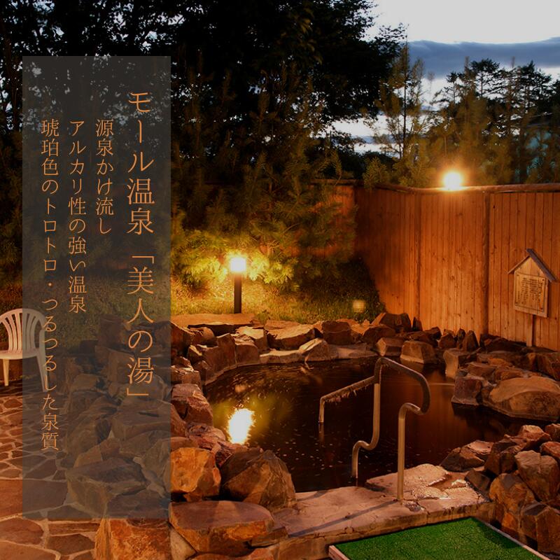 【ふるさと納税】 北海道 鶴居村 入浴剤 温泉の素 モール温泉 「美人の湯」： HOTEL TAITO 送料無料 国産 美肌 睡眠 冷え症 肩こり 腰痛 関節 疲労回復 天然モール温泉 琥珀色 ギフト入浴剤 アルカリ性 トロトロ つるつる お風呂 モール オリジナル 名湯 - 画像2