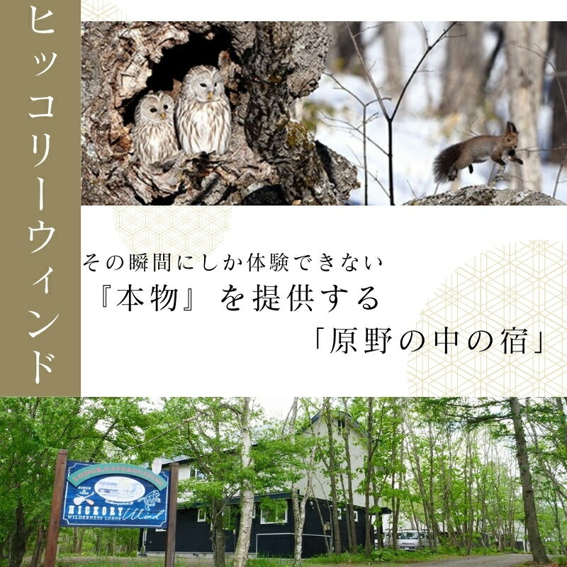 【ふるさと納税】 鶴居村 宿泊券　ウェルダネスロッジ　ヒッコリーウィンド2名様1泊2食　安藤誠 ネイチャーガイドの宿　 道東 大自然 旅行 記念日 誕生日 結婚記念日 お祝い 地元食材 北海道フードマイスター サムネイル2