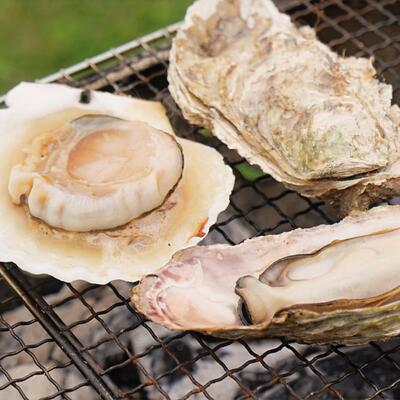 【ふるさと納税】 北海道 鶴居村 手ぶらでキャンプ海鮮BBQと朝食セット（1名様） 鶴の里キャンプフィールド フリーサイト オートキャンプ場 WiFi完備 アウトドア ワーケーション デジタルデトックス 大自然 ペット可 空港から無料送迎 - 画像3