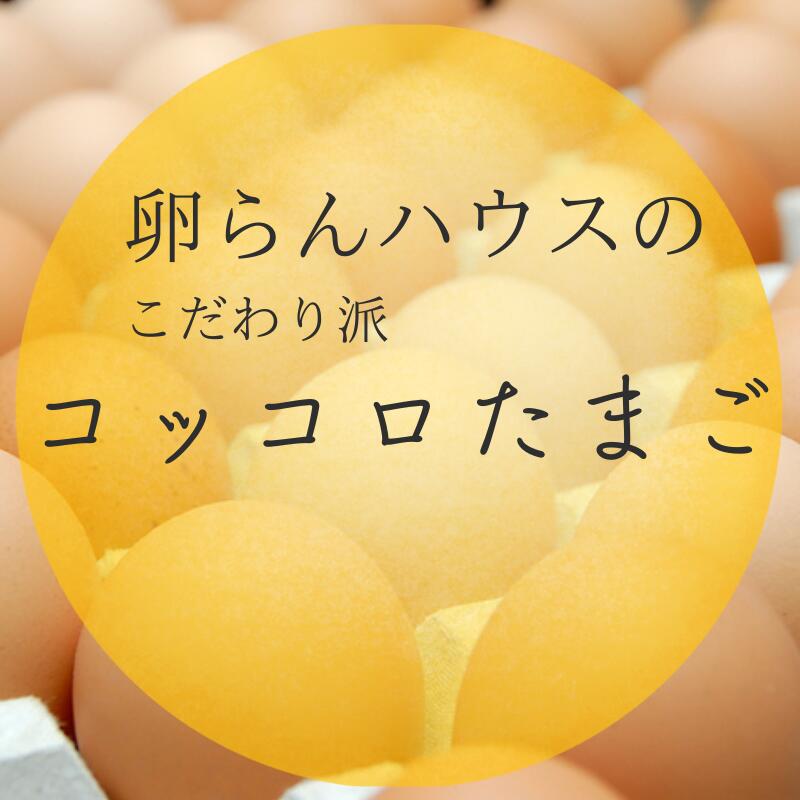 【ふるさと納税】北海道 鶴居村産　コッコロたまご2.5kg＋破卵保障10個入り お買い物マラソン 楽天スーパーSALE　採れたて たまご　生卵 玉子 鶏卵 養鶏場より直送 - 画像2