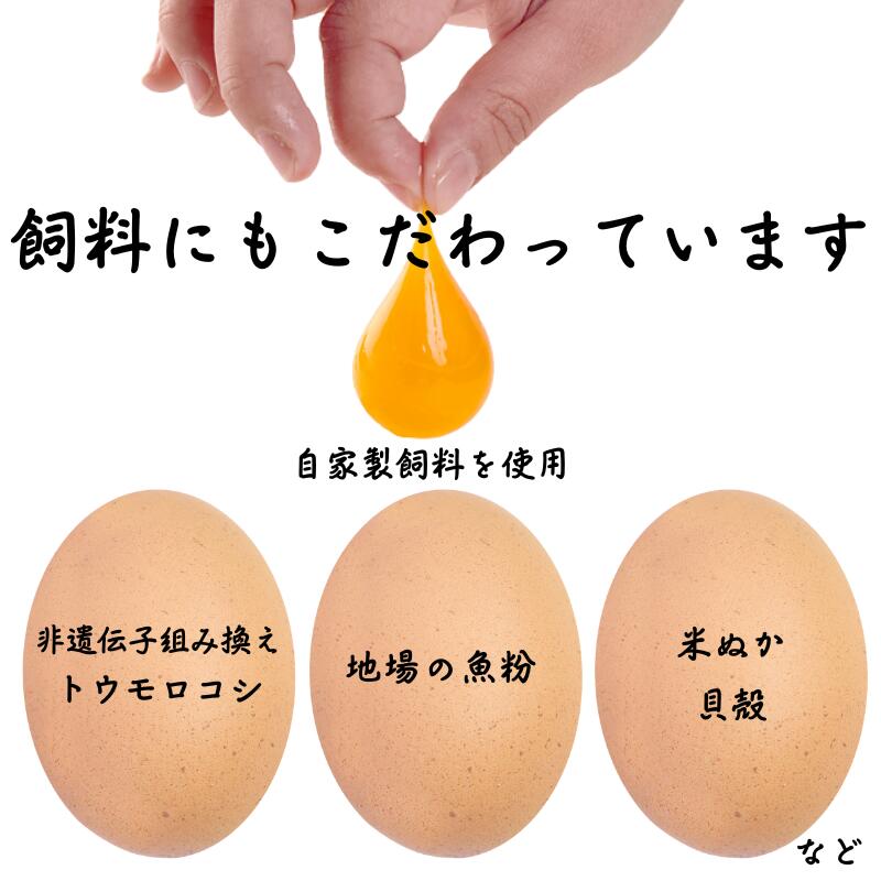 【ふるさと納税】北海道 鶴居村産　コッコロたまご2.5kg＋破卵保障10個入り お買い物マラソン 楽天スーパーSALE　採れたて たまご　生卵 玉子 鶏卵 養鶏場より直送 - 画像3