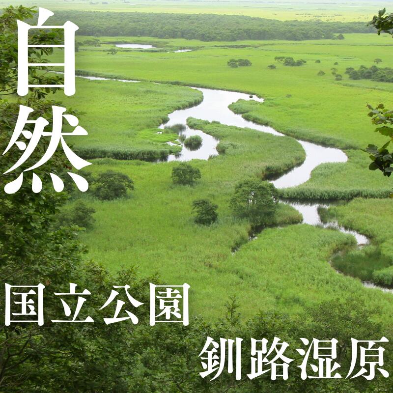【ふるさと納税】北海道 鶴居村 の対象施設で使える 楽天トラベルクーポン 寄付額150,000円 サムネイル3