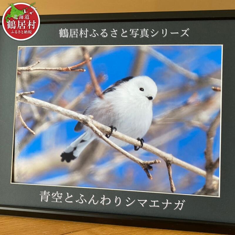 【ふるさと納税】農場カメラマンが撮った鶴居村ふるさと写真シリーズ　【青空とふんわり シマエナガ 】　北海道　鶴居村　自然　野生動物　フクロウ