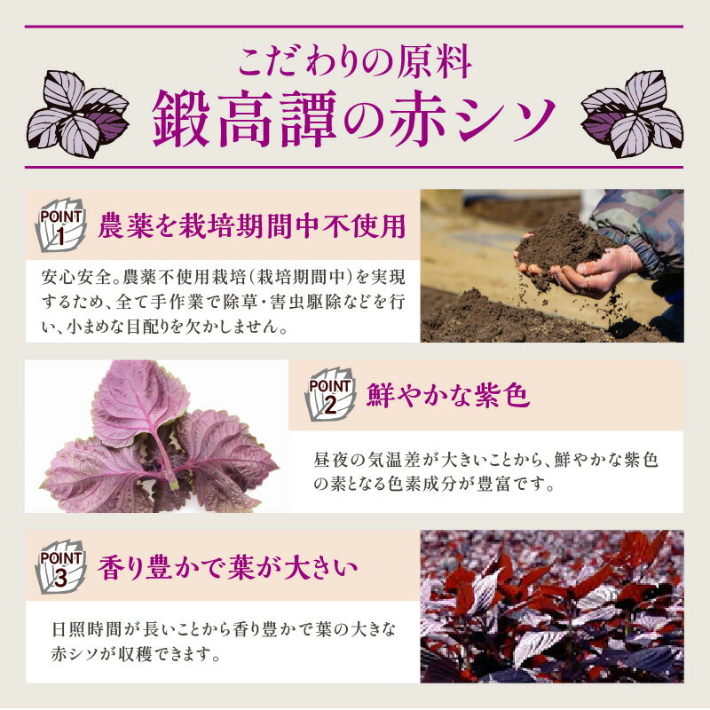 【ふるさと納税】しそ焼酎 鍛高譚（たんたかたん）の梅酒[1800ml]【2本セット】 サムネイル3