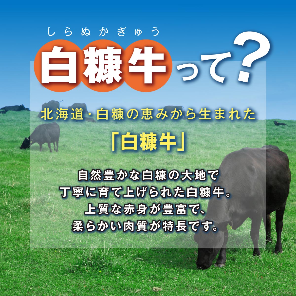 【ふるさと納税】 ＼北海道産 牛肉 500g / 1kg ふるさと納税 焼肉 ふるさと 焼き肉 焼肉 焼肉セット 訳あり 不揃い バラ モモ 大判ロース 小分け 便利 3種 セット 食べ比べ 人気 ランキング おすすめ 家庭用 贈答用 ギフト 白糠牛 北海道 白糠町 白糠 - 画像3