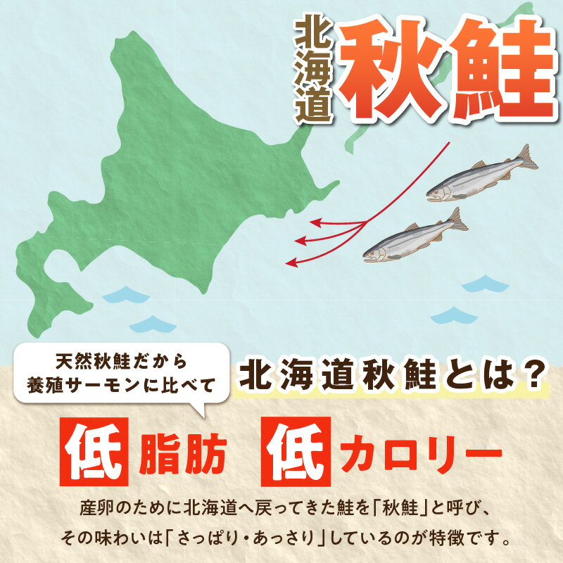 【ふるさと納税】高評価 4.44 鮭フレーク 500g×3個 | ふるさと納税 北海道 鮭 さけ おにぎり おかず 惣菜 ふるさと 人気 グルメ 食べ物 魚 海鮮 海鮮食品 魚介類 魚介 魚 白糠町 サムネイル3