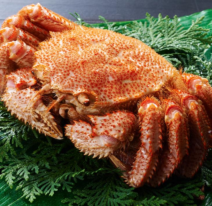 【ふるさと納税】 しらぬか産 CAS冷凍毛がに 【400g×2杯】 北海道 応援 ふるさと納税 海鮮 - 画像2