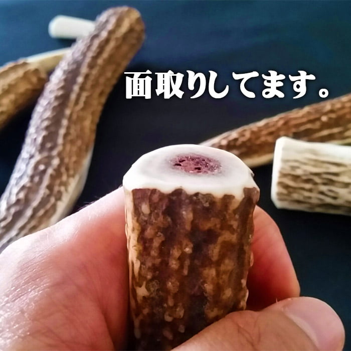 【ふるさと納税】えぞ鹿カット角【約10cm×3本】※トリーツ - 画像2