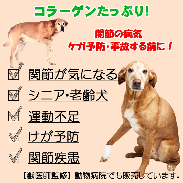 【ふるさと納税】純ナマコ粉末【90g】※ペットサプリメント - 画像2