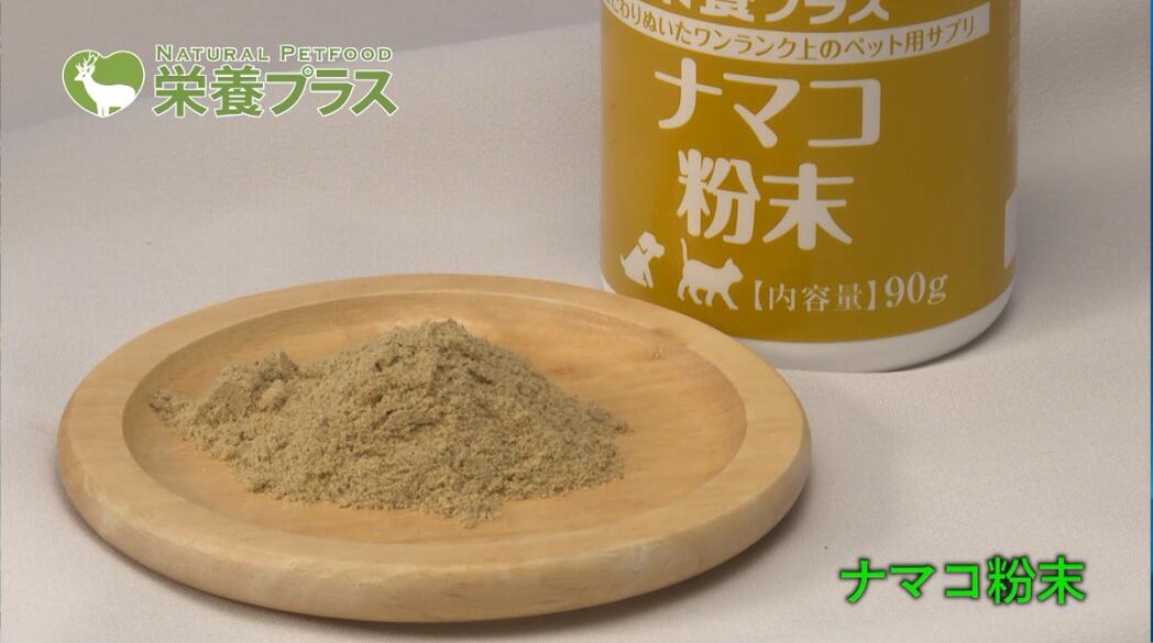 【ふるさと納税】純ナマコ粉末【90g】※ペットサプリメント - 画像3