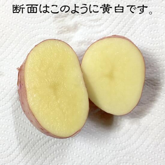 【ふるさと納税】じゃがいも（さやあかね）無農薬・無肥料・自然栽培・北海道産【5kg】 ふるさと納税 北海道 サムネイル3