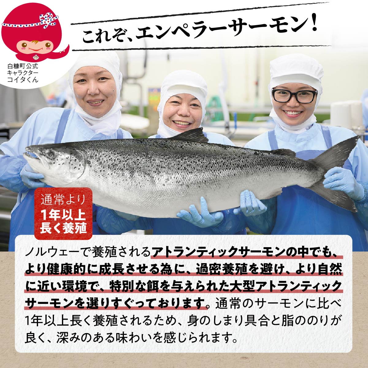 【ふるさと納税】【数量限定】【訳あり】エンペラーサーモン 900g - 画像3